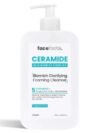 Face Facts Blemish Clarifying Foaming Cleanser 400ml