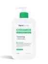 Face Facts Foaming Cleanser 400ml